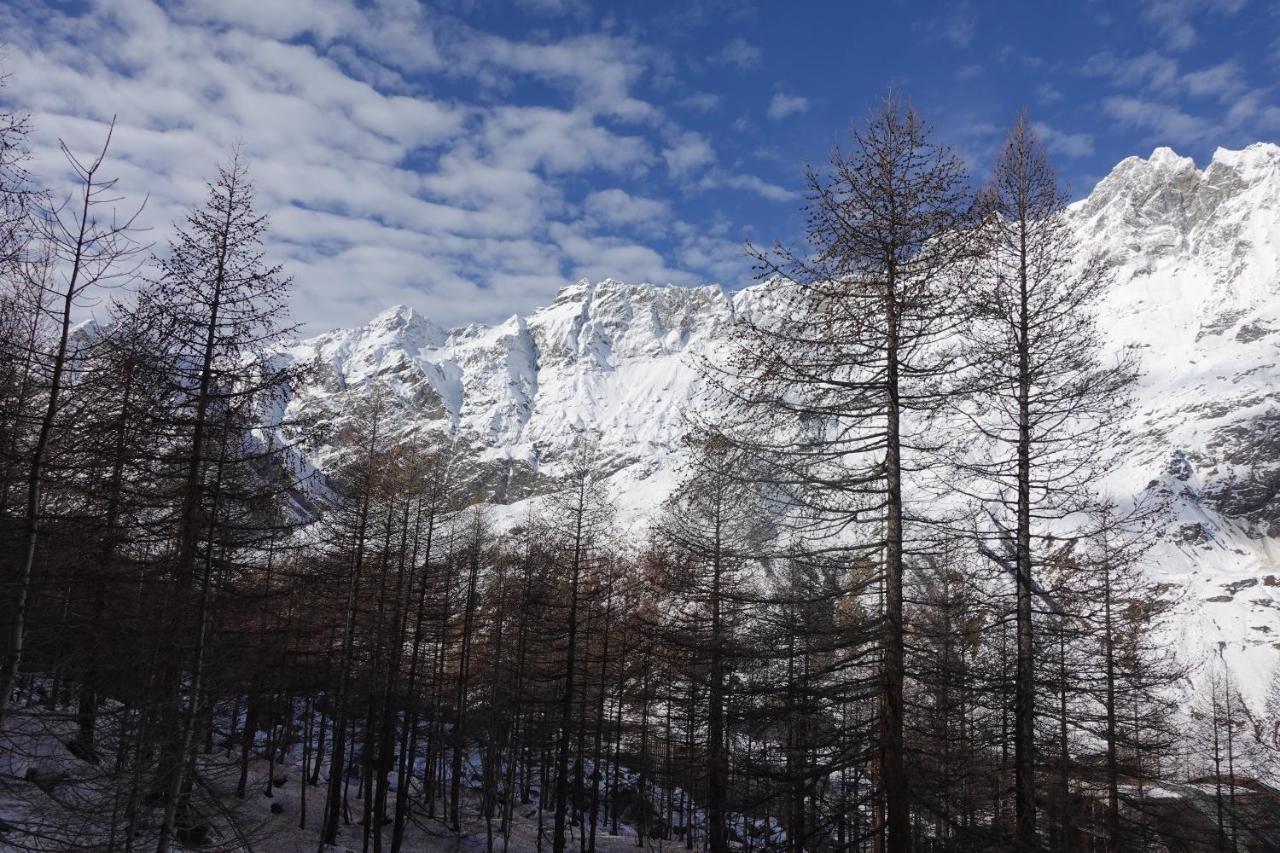 Erikzang - Cervinia Ski In Ski Out Apartments Breuil-Cervinia Zewnętrze zdjęcie