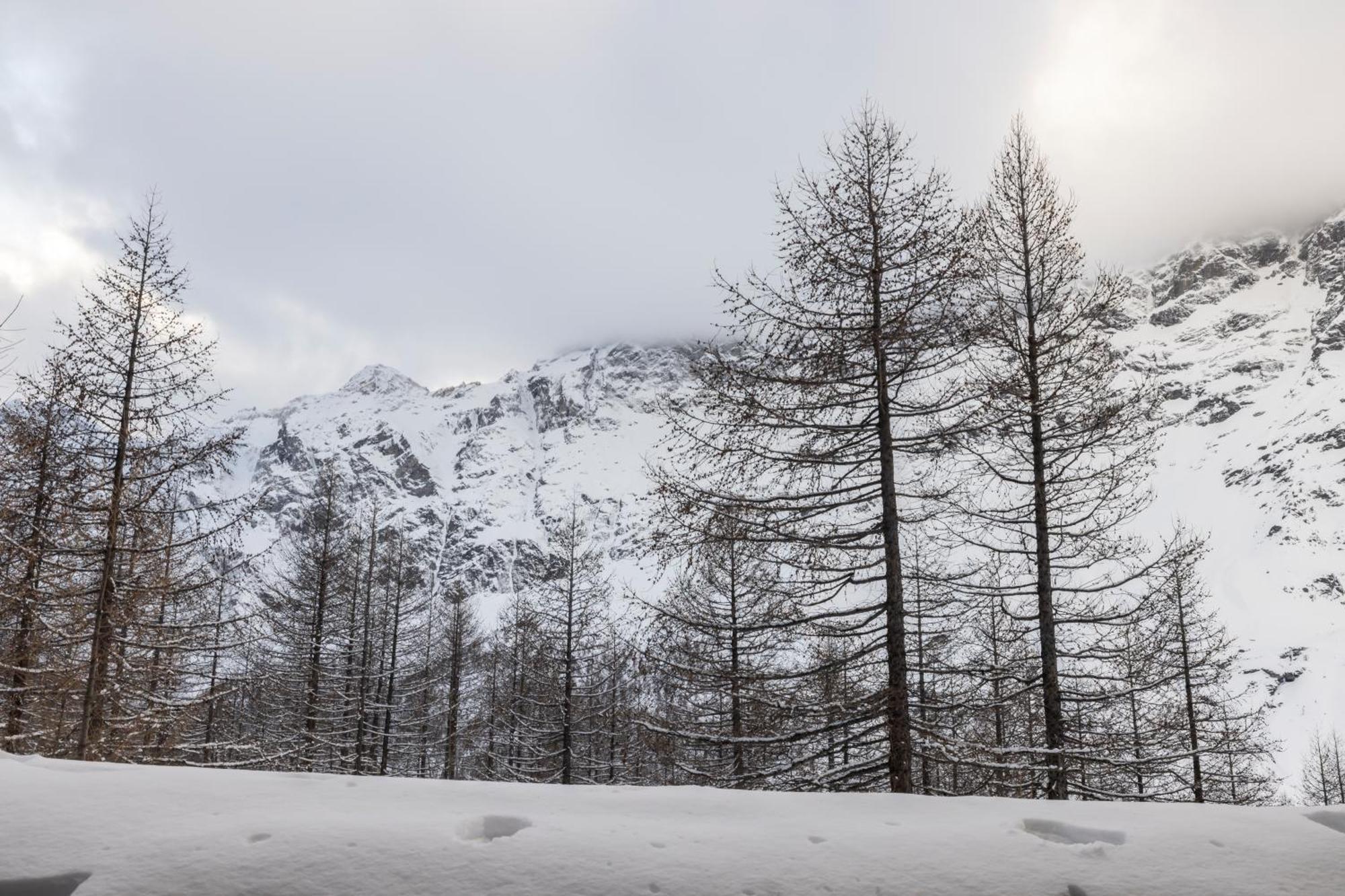 Erikzang - Cervinia Ski In Ski Out Apartments Breuil-Cervinia Zewnętrze zdjęcie